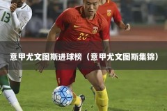 意甲尤文图斯进球榜（意甲尤文图斯集锦）