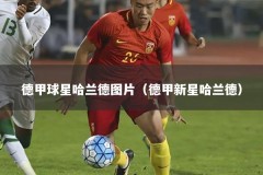 德甲球星哈兰德图片（德甲新星哈兰德）