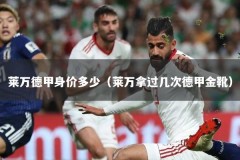 莱万德甲身价多少（莱万拿过几次德甲金靴）