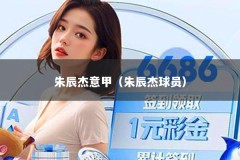 朱辰杰意甲（朱辰杰球员）