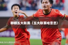聊聊五大联赛（五大联赛啥意思）