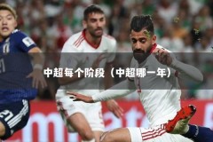 中超每个阶段（中超哪一年）