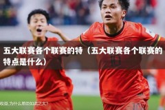 五大联赛各个联赛的特（五大联赛各个联赛的特点是什么）