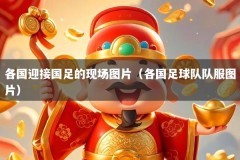 各国迎接国足的现场图片（各国足球队队服图片）