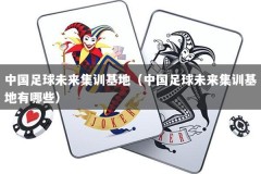 中国足球未来集训基地（中国足球未来集训基地有哪些）