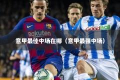 意甲最佳中场在哪（意甲最强中场）