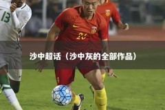沙中超话（沙中灰的全部作品）