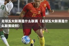 足球五大联赛是什么联赛（足球五大联赛是什么联赛级别）