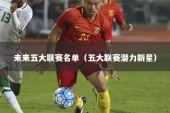 未来五大联赛名单（五大联赛潜力新星）