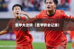 意甲大逆转（意甲转会记录）