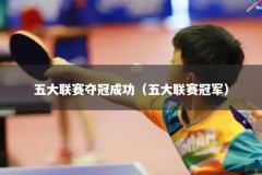 五大联赛夺冠成功（五大联赛冠军）