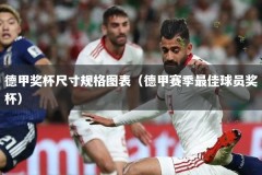 德甲奖杯尺寸规格图表（德甲赛季最佳球员奖杯）