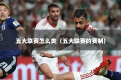 五大联赛怎么类（五大联赛的赛制）
