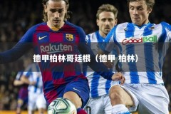 德甲柏林哥廷根（德甲 柏林）