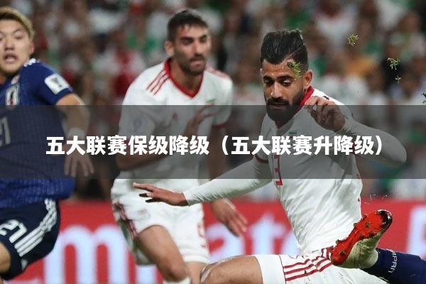 五大联赛保级降级(五大联赛升降级)